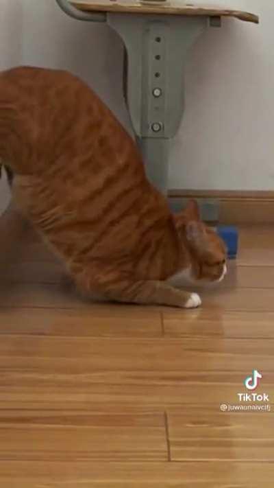 Here, There and Gone..