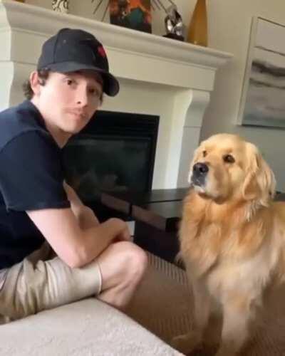 Pack behavior/instinct.