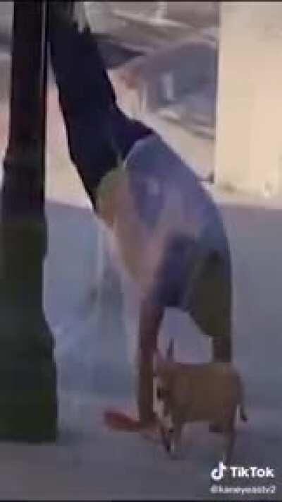 👀👀SMaK CAm🩸㊙️🎒👖👟