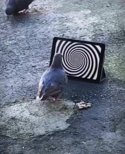 Someone may have dosed the parking lot fries Carl ate at Mickey D's