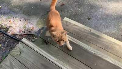 This guy showed up yesterday and won’t stop talking to me.