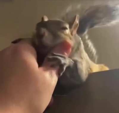 Bro felt it for the first time