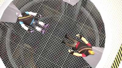 Godzilla vs King Kong