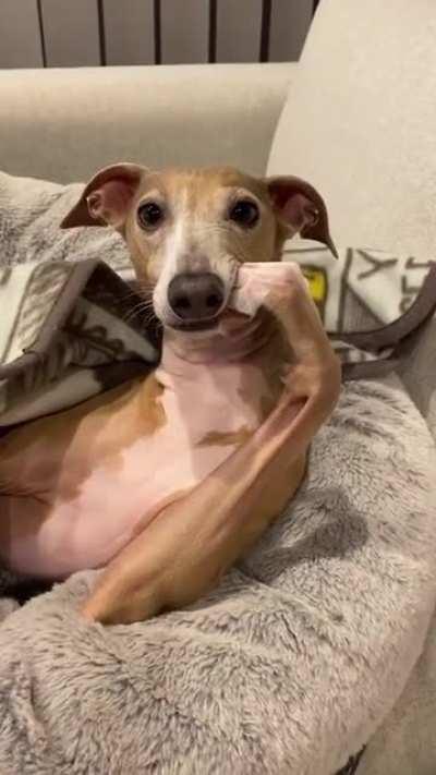 Tell me, I'm all ears