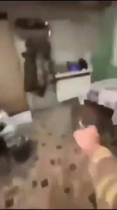 stalker 2 rat swarm moment