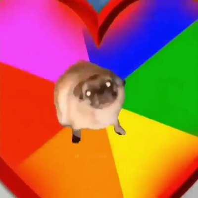 Heres something to make your day a little better