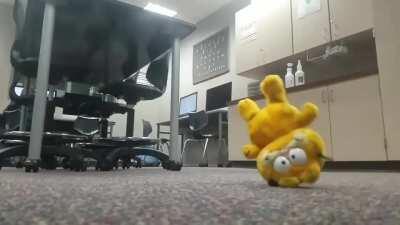 Decided to make a video of Garfield ascending