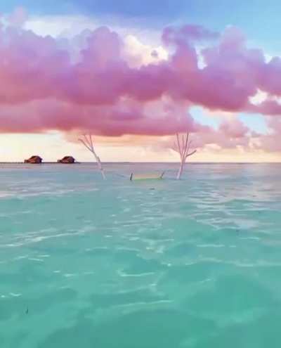 🔥 This cotton candy sky during the golden hour in the Maldives