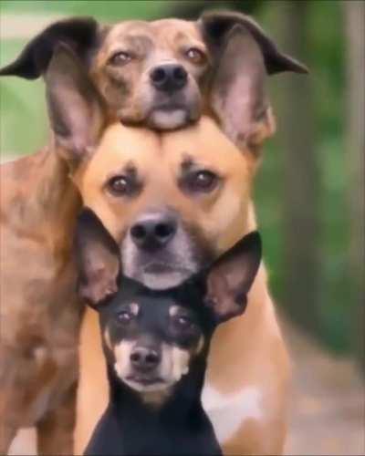 There is an unusual activity suspected in the hood, experts are on the watch..