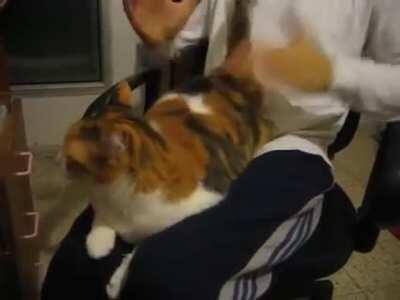 Que totoso, alguém pra fazer cmg?😳😳😳