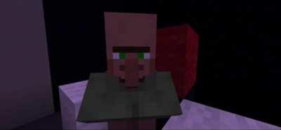 (Sound On) POV: You kindly rejected a villager’s offer of 1 dirt block for 200 of your emeralds: