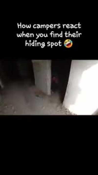 Campers gets shit scared of them.