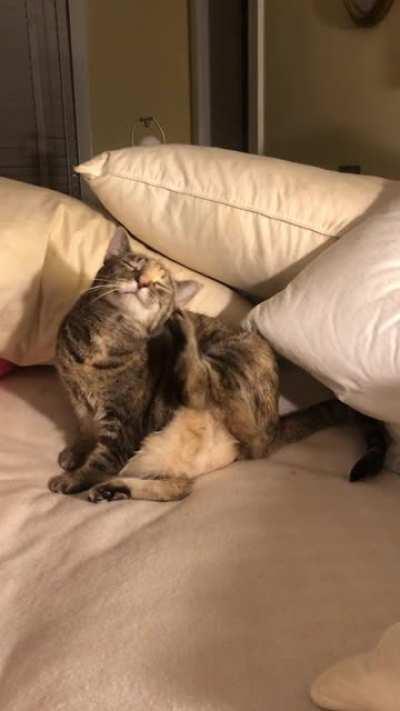 Just a little belly jiggle