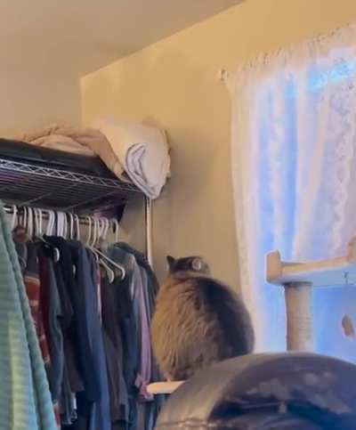 I was told Fatness Everbeans (may the foods be ever in her flavor) belongs here