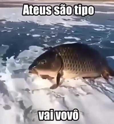 Reino de Deus 1 X Ateus 0