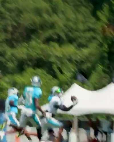 Panthers WR seems fine with his new QB after this highlight reel play