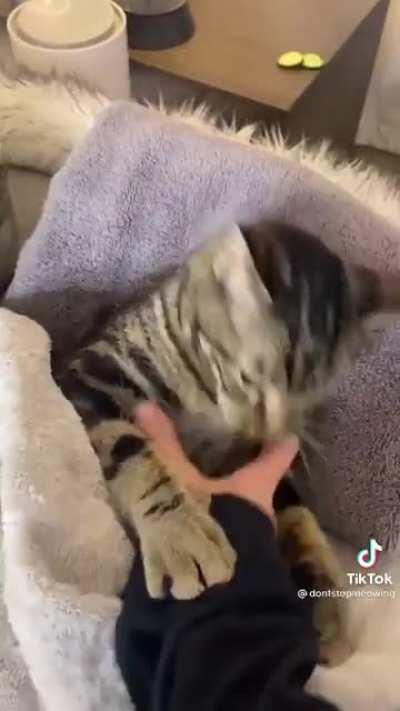 Understanding spouse