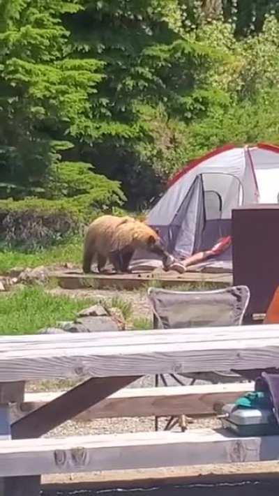 A warning at Bear minimum would be nice...