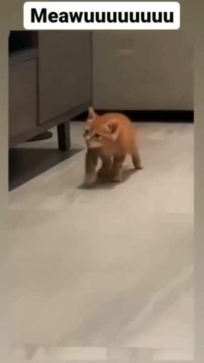 Meowuuuuuu