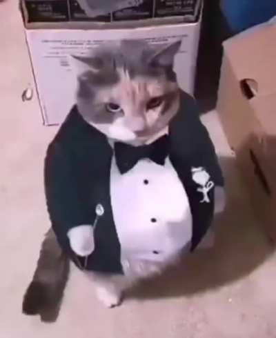 I present to you, my new favorite video. This is me staring down the cashier as she scans 6 bottles of delsym and a bottle of benadryl.