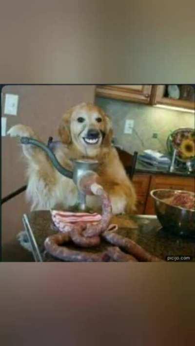 cursed_giorno's theme