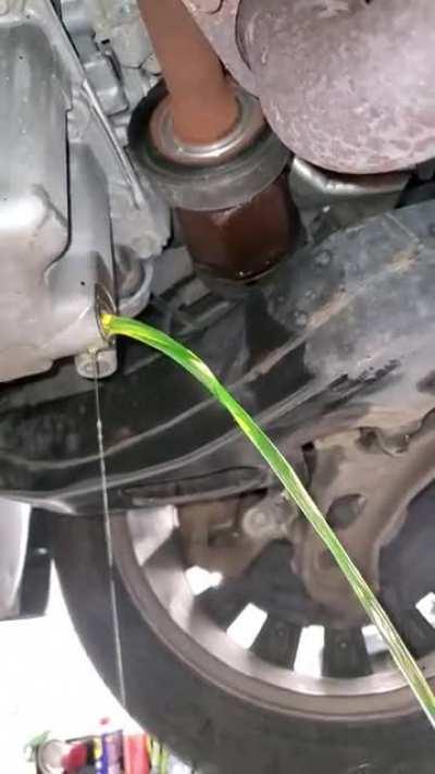 What kind of oil is this?