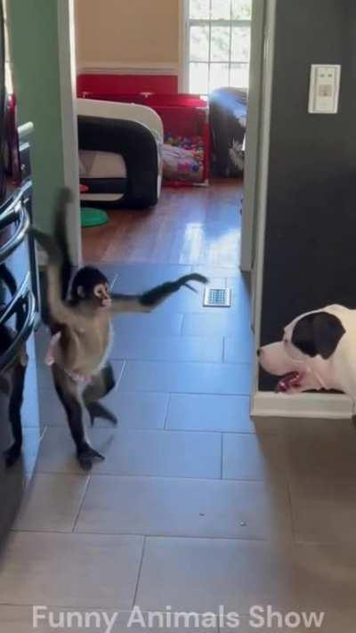 James Bond 🫣👏👉