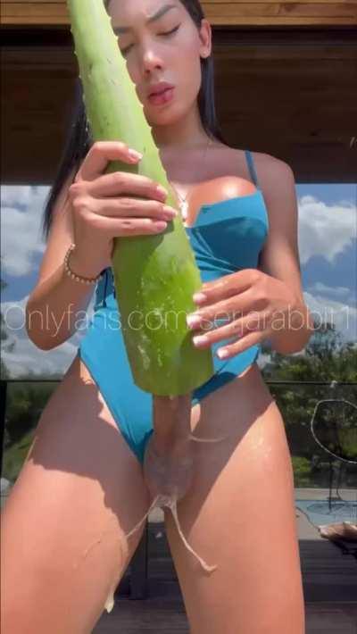 I told you I love nature bro. The world is a gooners paradise