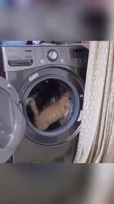 Gotta get that daily workout somehow