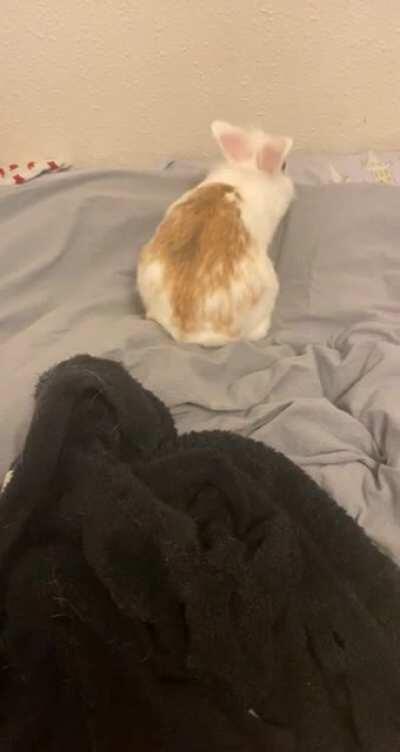 “For gods sake woman, do you never clean around here? I always have to do everything myself!”