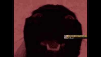 I have 5 seconds left