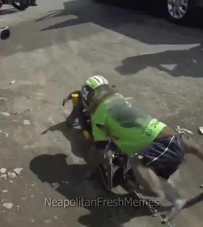 famous monkes around the world oooh aah