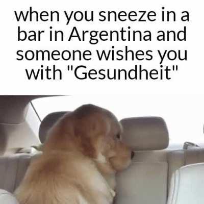 Crosspost de r/dankmemes posteado por u/Candid-Reindeer6258