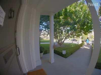 Amazon delivery driver practices his aim with my package.