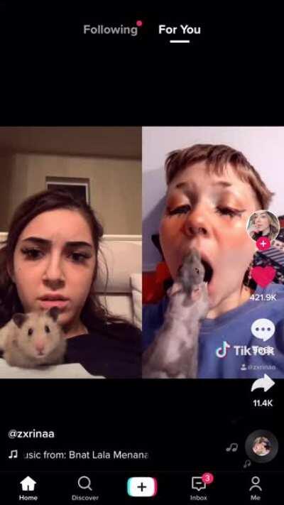 When both you and your hamster die inside