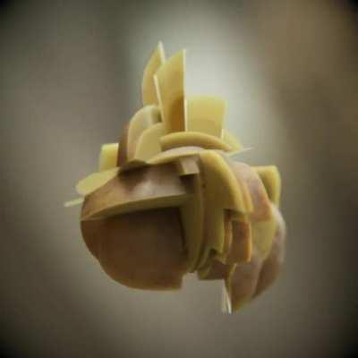 [A] Rubik’s Potato