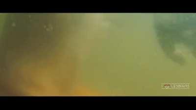 Meghan Oberholzer & Shamilla Miller - 