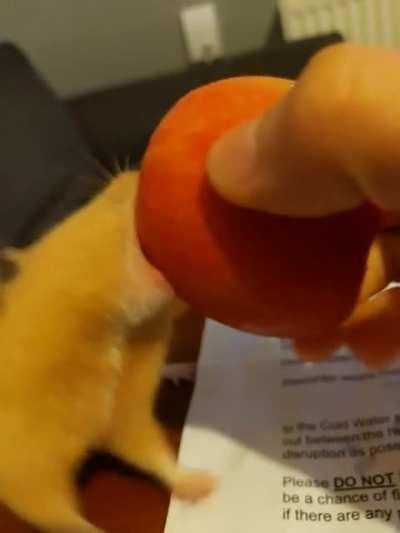 Yeah sure. Take the WHOLE apple