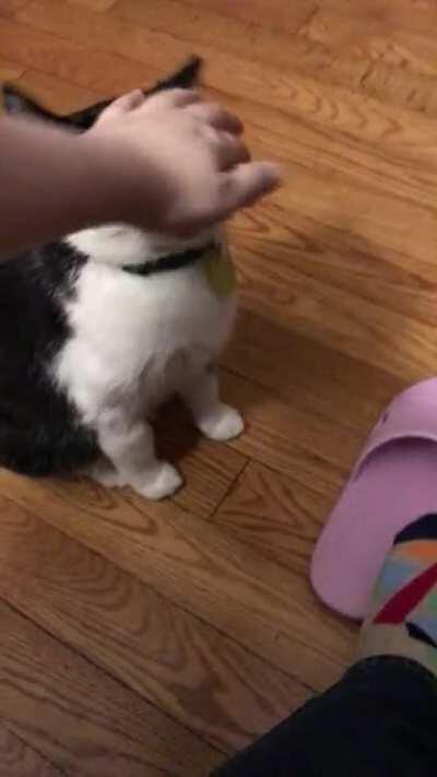 He bites gently when he’s hungry