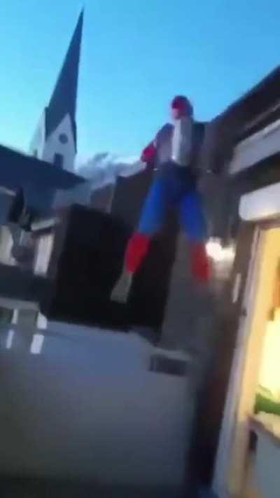 Spider-Man, Spider-Man Does Whatever A Spider Can