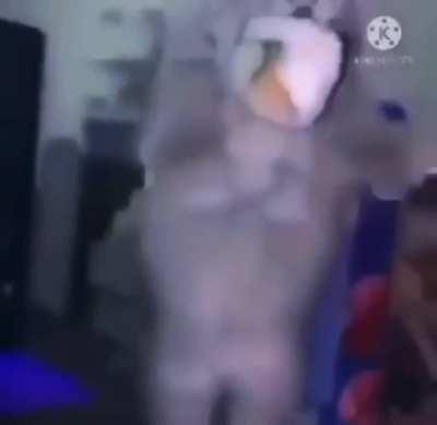 Poor little guy wanted a roll