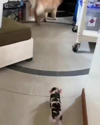 Best friends already