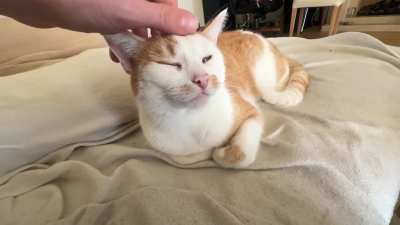 Found the throttle..