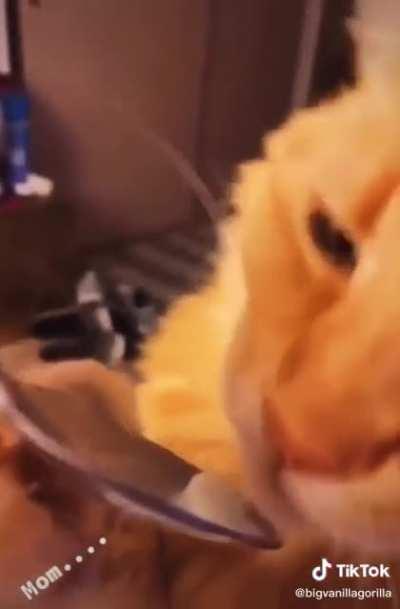 His life flashed before his eyes