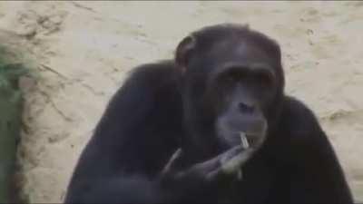 ElmiilloR después de el ban