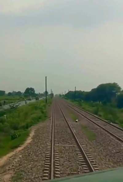DASHCAM VIDEO SHOWS A DONKEY HIT BY A TRAIN AND FLESH CAN BE SEEN BLOWING AWAY IN THE AIR.