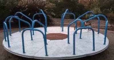 This guy loves carousels