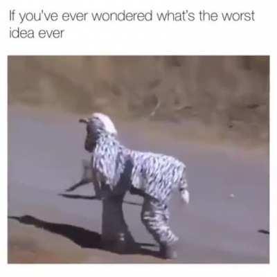 To be Zebra