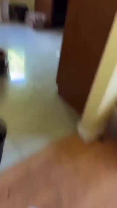 Turks be like 💪🏿💪🏿💪🏿🇹🇷