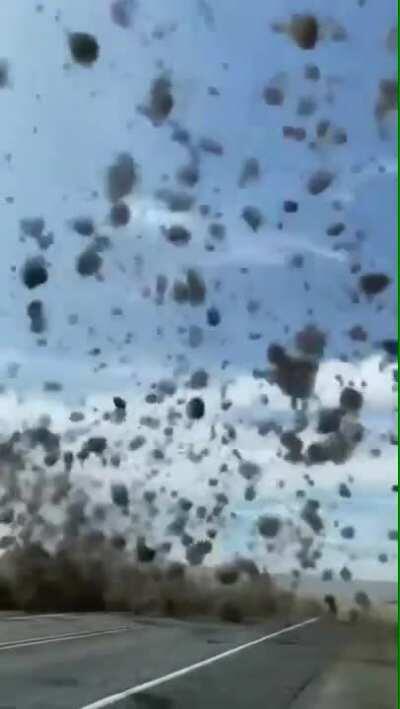 🔥 Tumbleweed Tornado